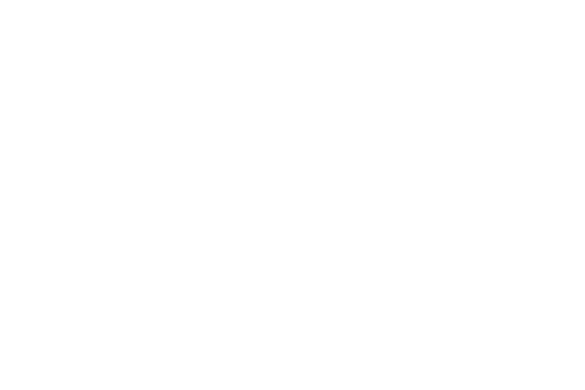LIBER ARNSTORF